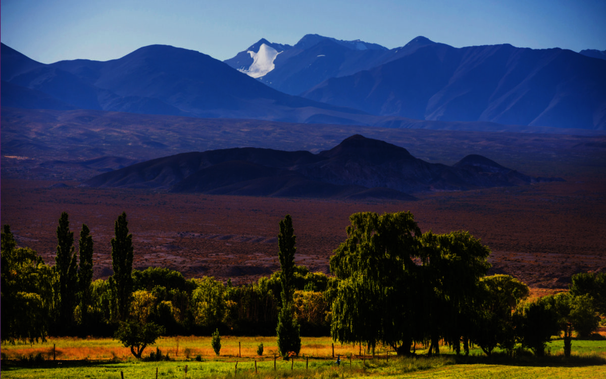 Mendoza Natural: Descubriendo sus Paisajes del Entorno en Movimiento